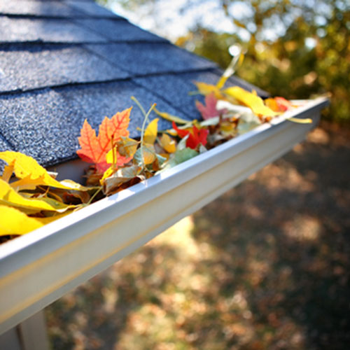 boise gutter cleaning